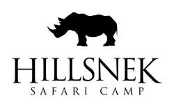 hillsnek-safari-camp250