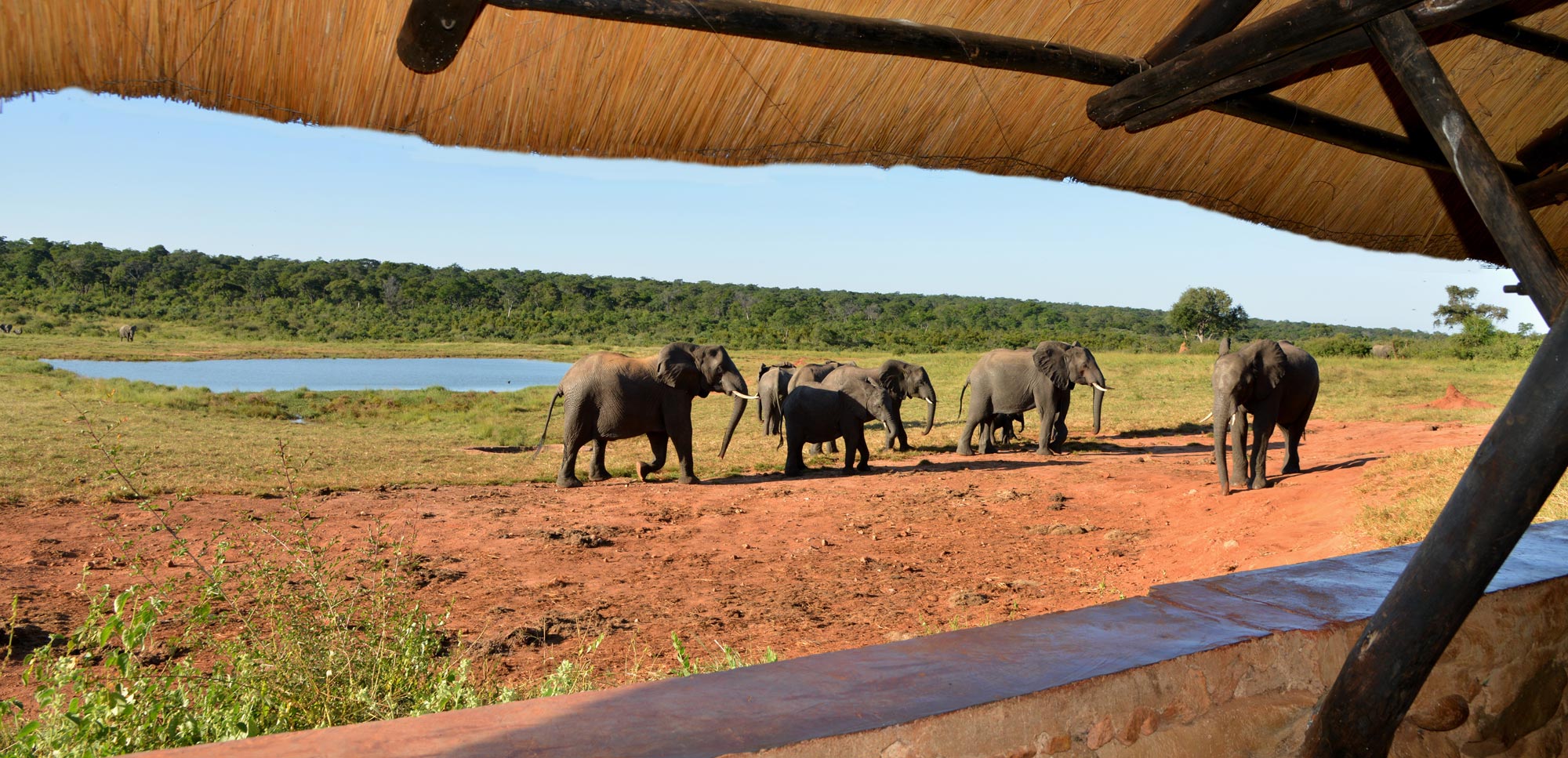 ivory-lodge-2